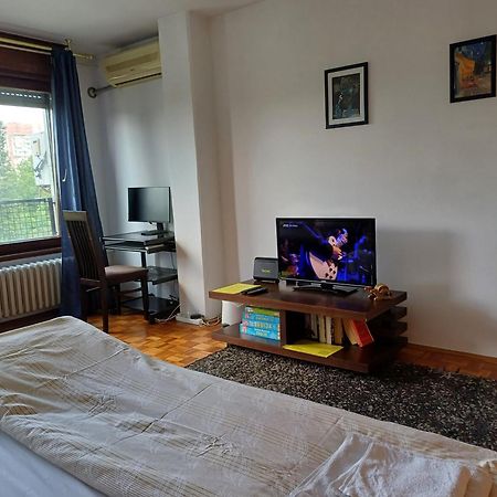 Apartment Student City, Wifi 300Mbs Beograd Bagian luar foto