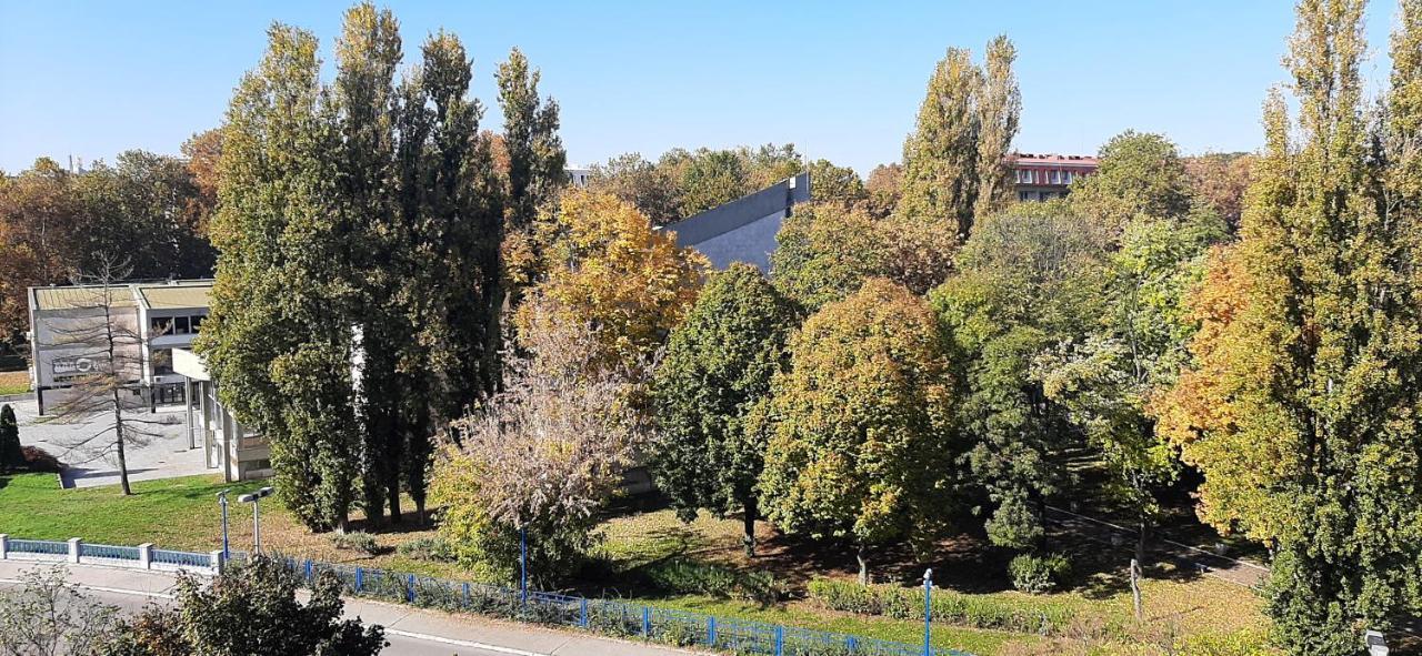 Apartment Student City, Wifi 300Mbs Beograd Bagian luar foto